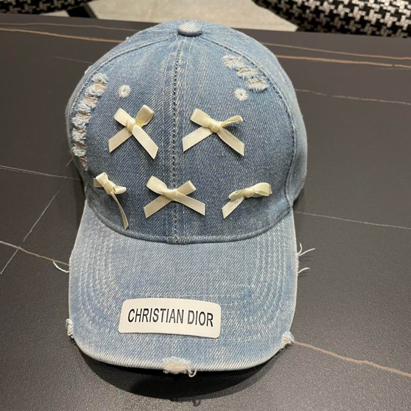 Dior cap (47)